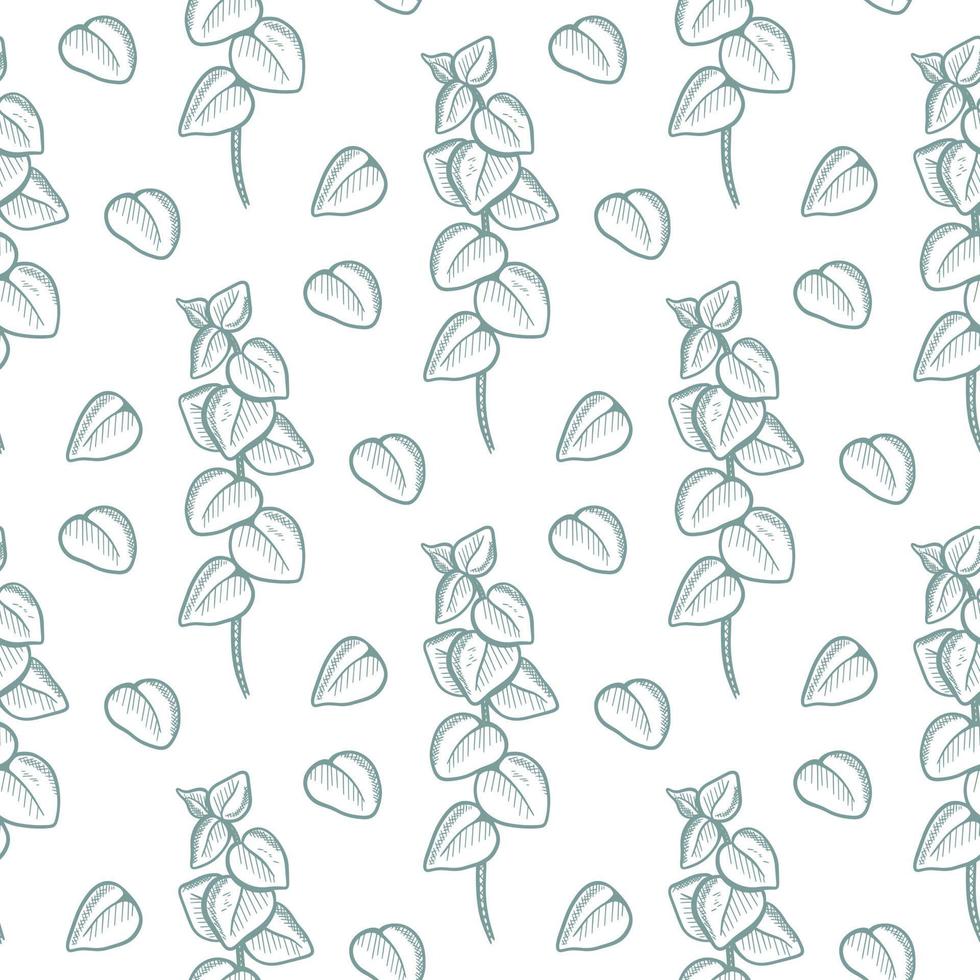 Les brindilles d'eucalyptus modèle sans couture vector illustration