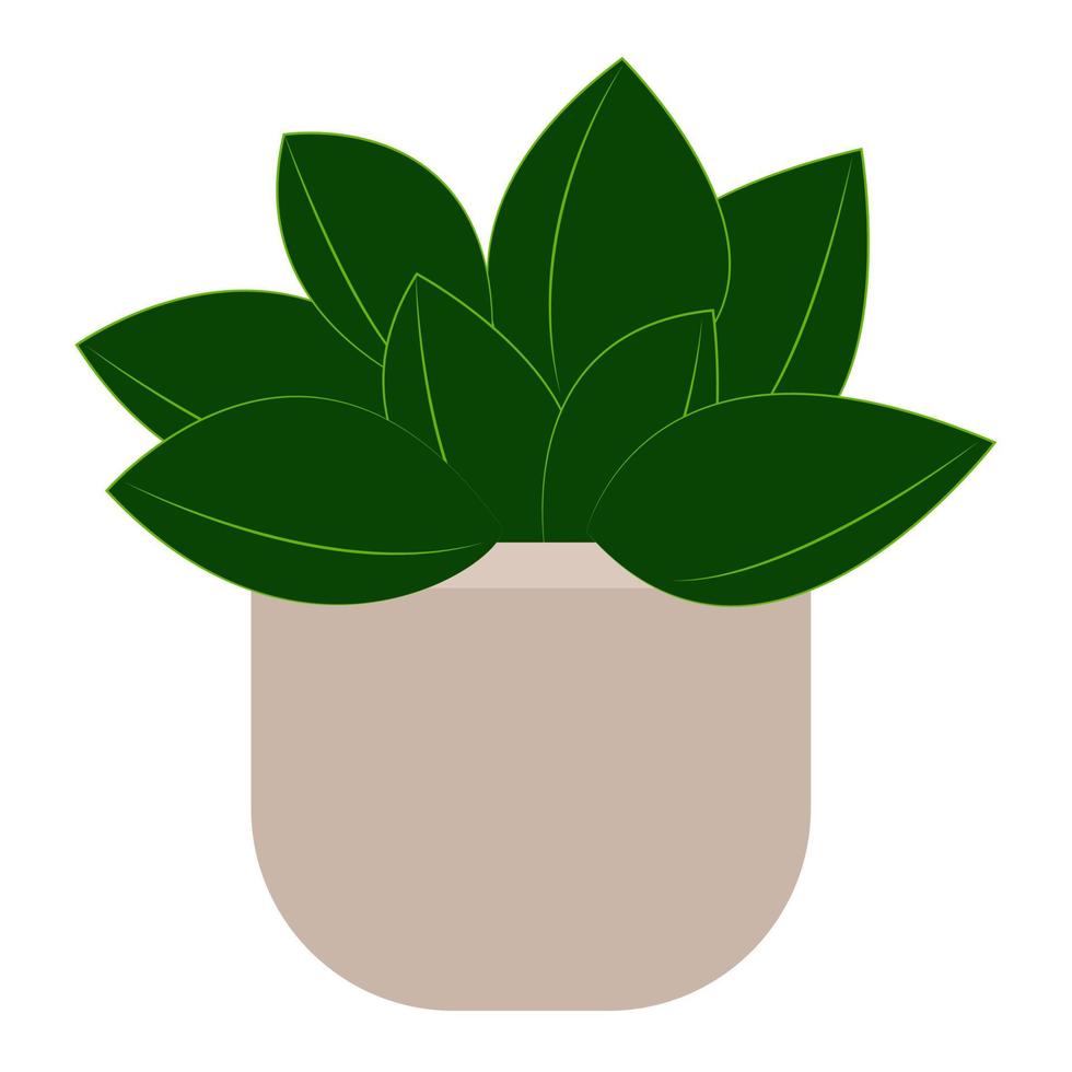 plante d'intérieur en illustration vectorielle de pot isolé. vecteur