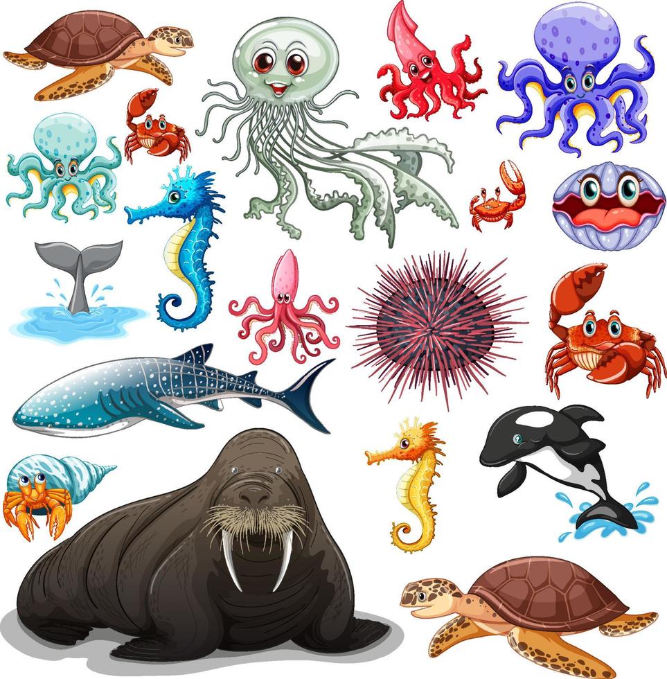 différents types d'animaux marins vecteur