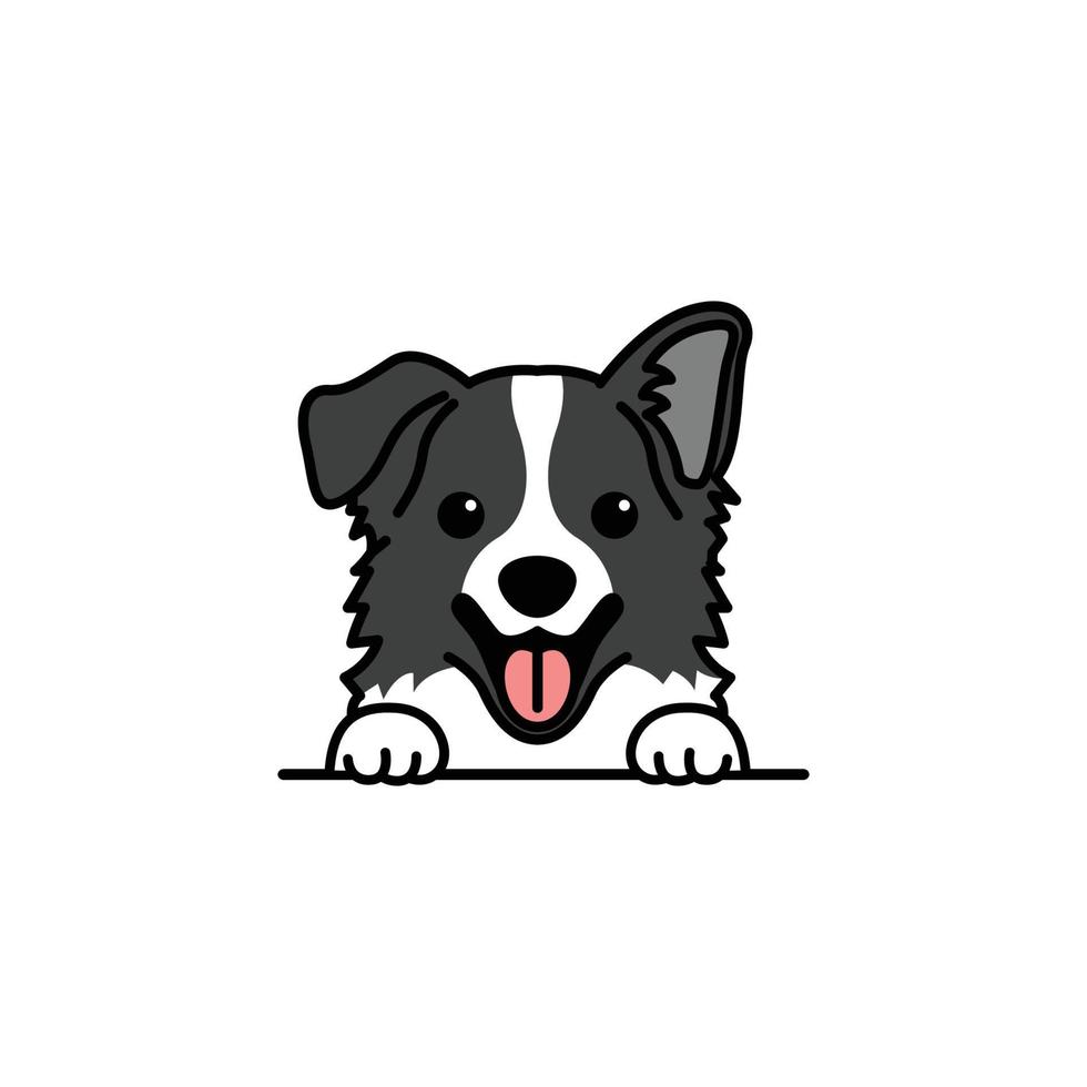 dessin animé mignon chien border collie, illustration vectorielle vecteur