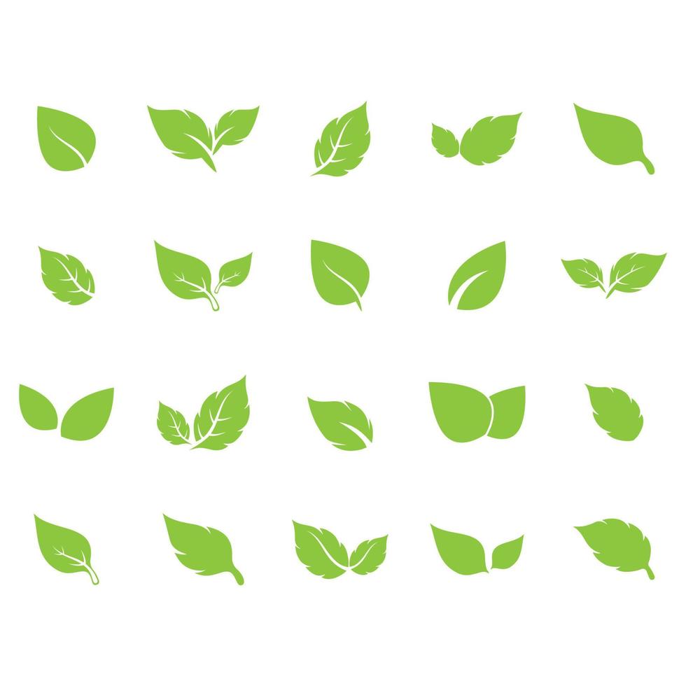 ensemble de collection complète de vecteur de logo de symbole de feuille verte unique