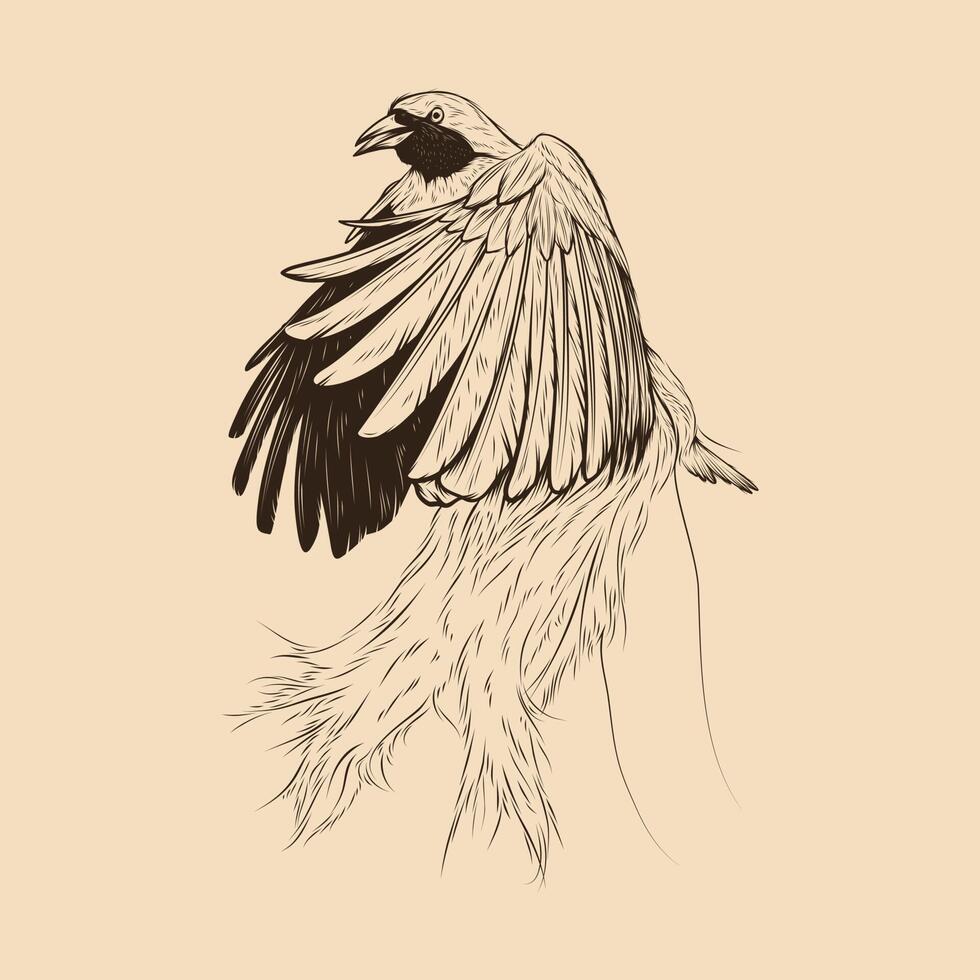 oiseau de paradis croquis illustration dessin vecteur animal