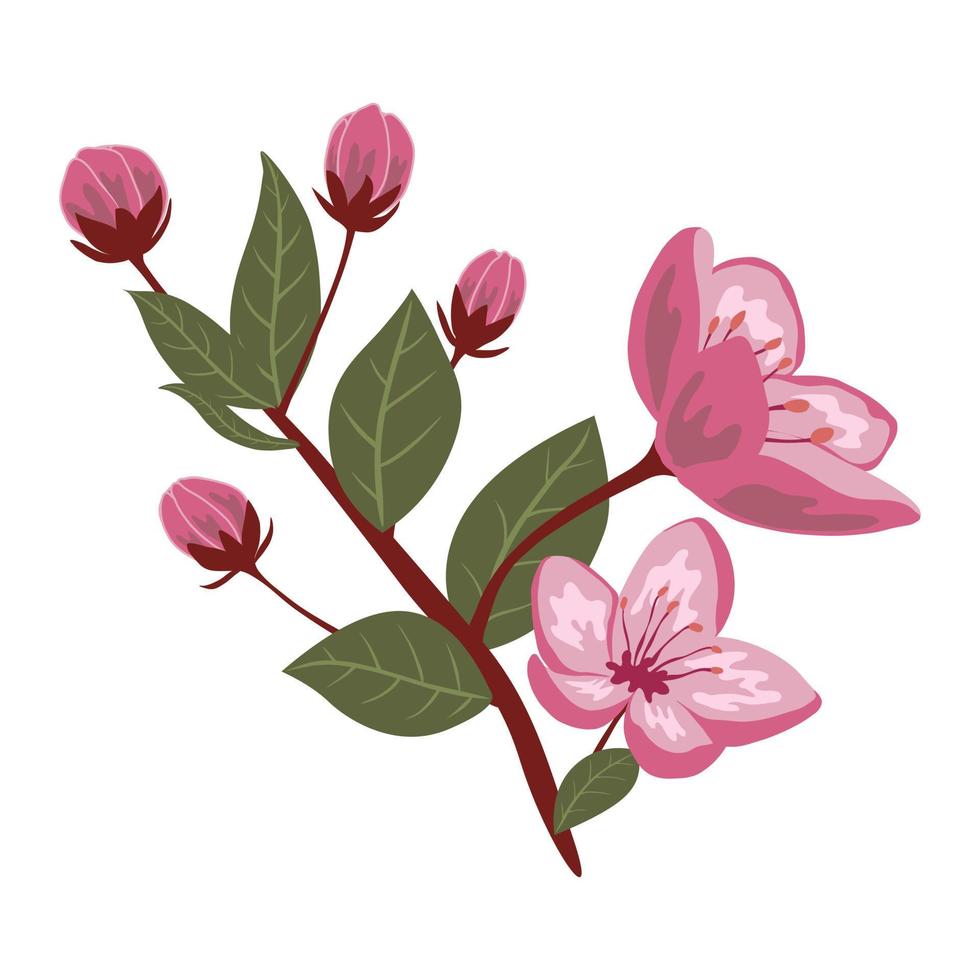 mignon printemps fleur de cerisier vector illustration isolé