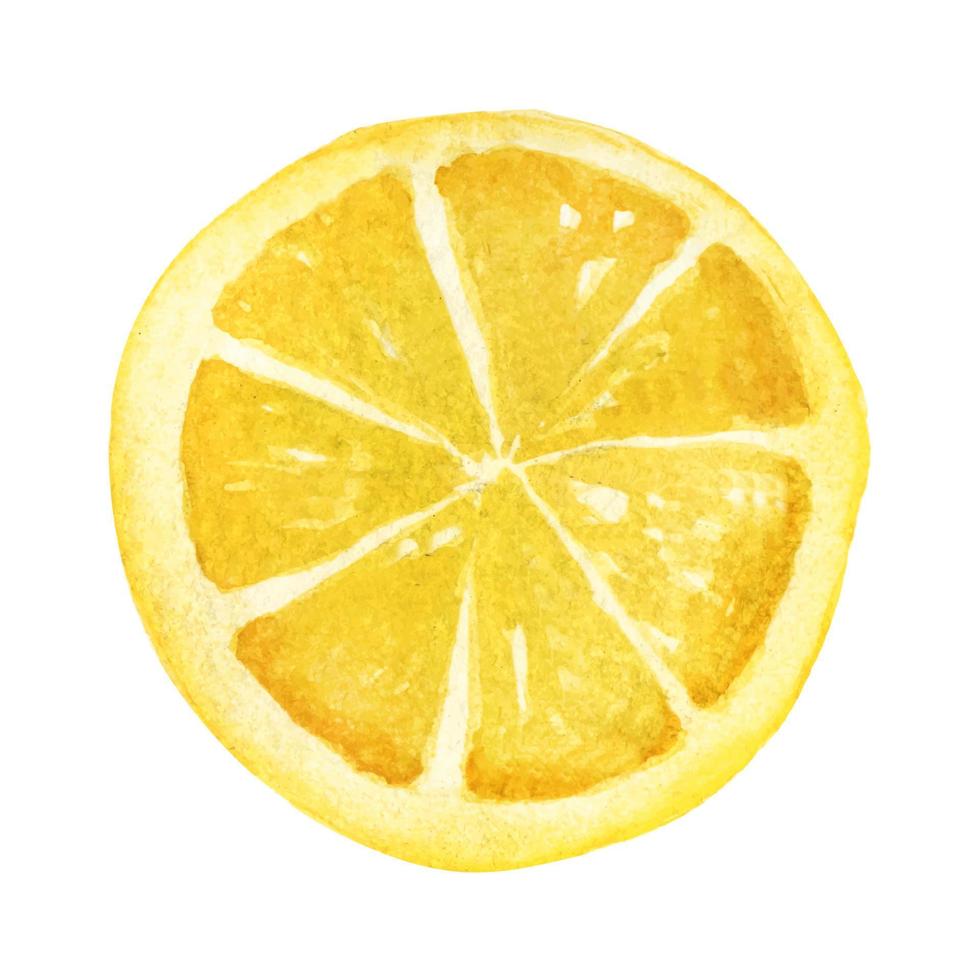 tranche de citron à l'aquarelle. élément de vecteur