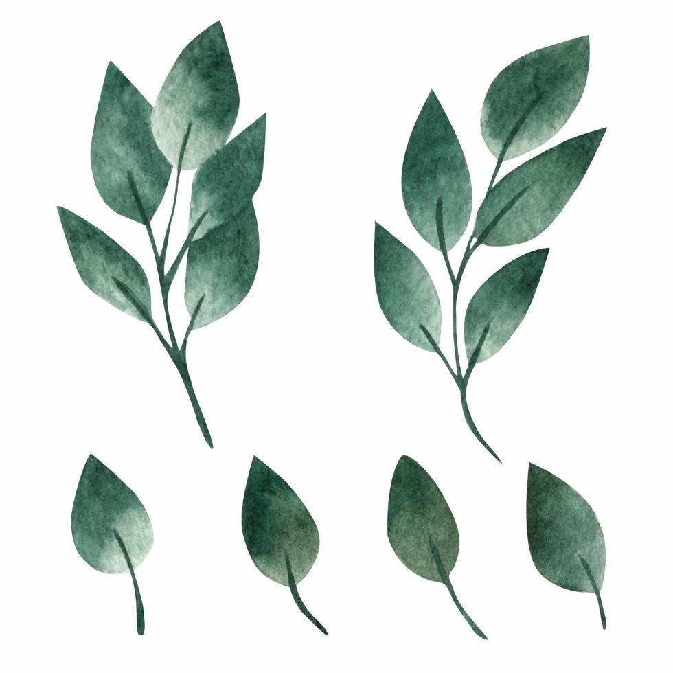 feuilles vertes, jeu d'aquarelle vecteur