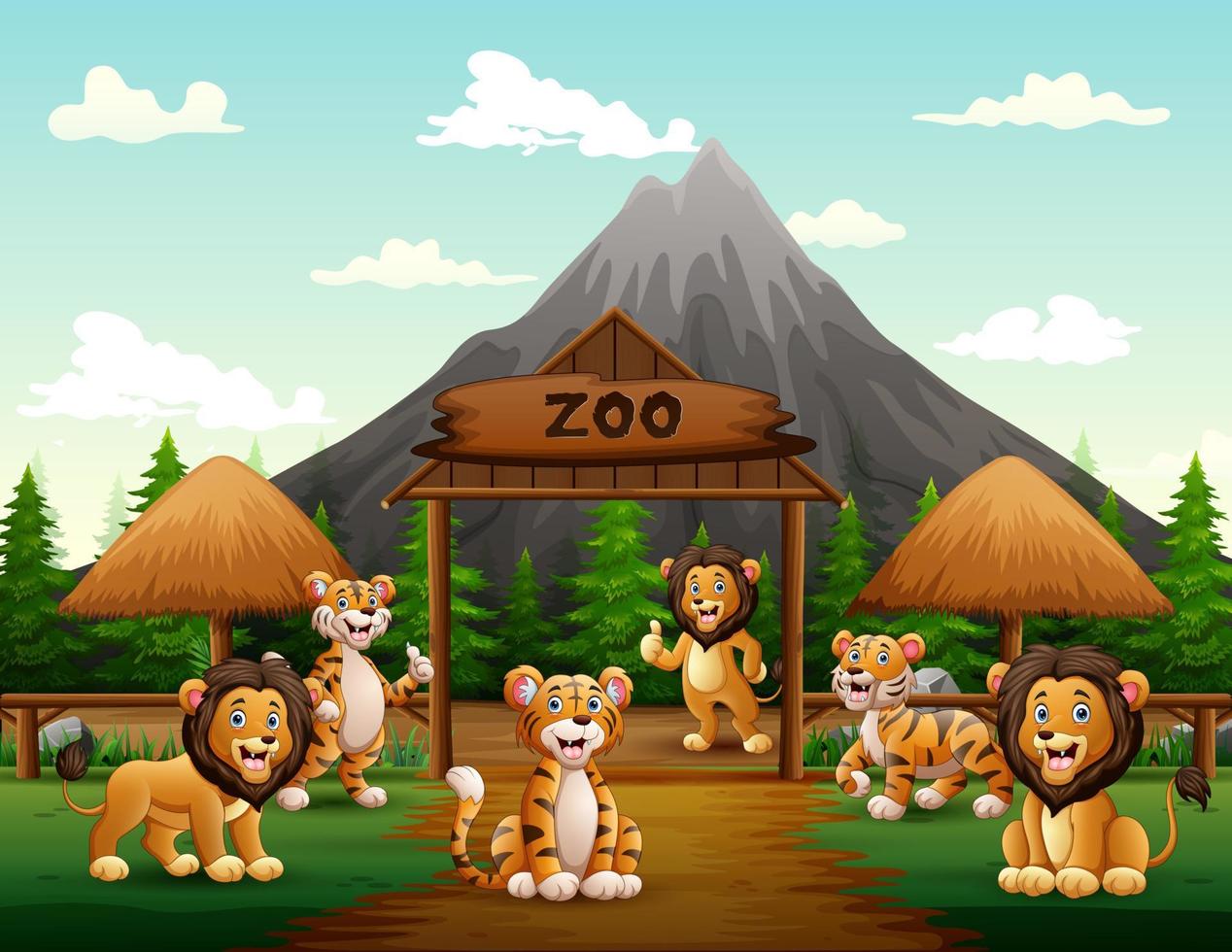 lions et tigres de dessin animé jouant à l'entrée du zoo vecteur