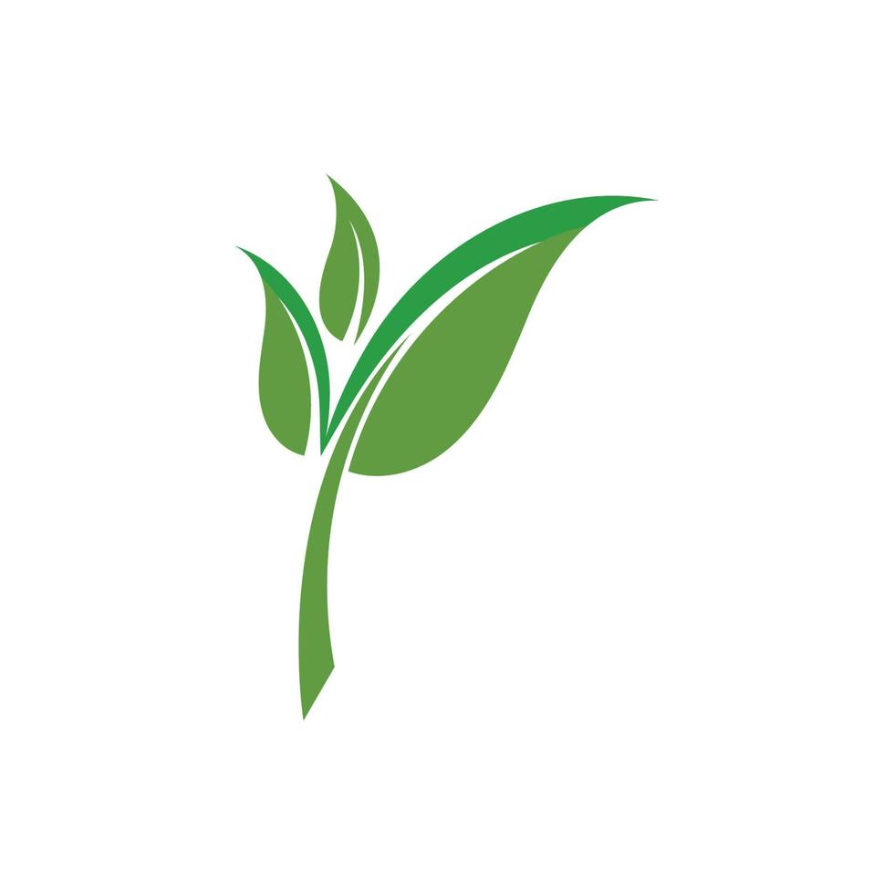 logo feuille verte vecteur