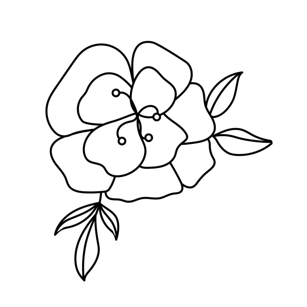 dessin de contour noir et blanc de fleur épanouie. illustration vectorielle. coloriage. vecteur