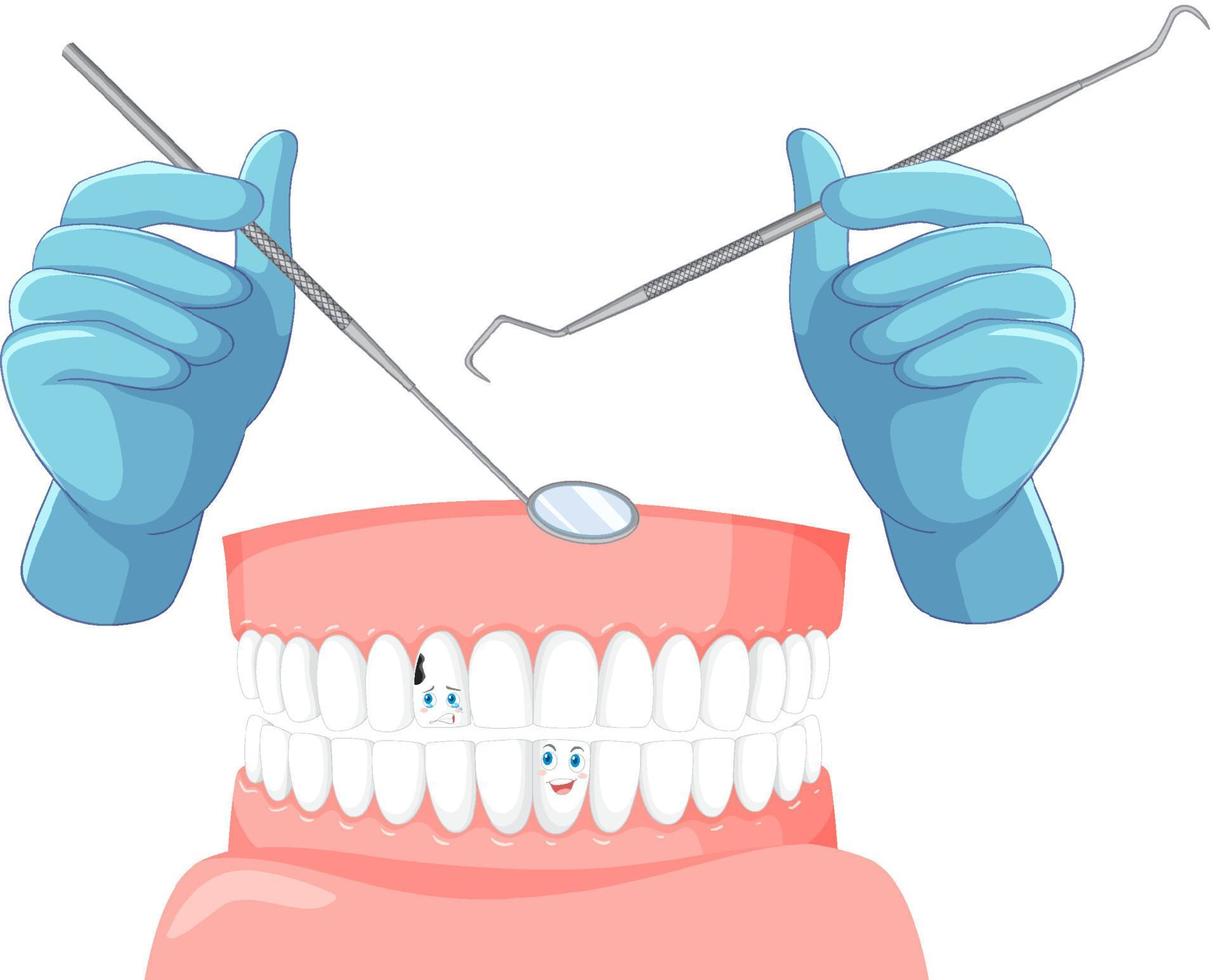 main de dentiste avec modèle de dents humaines vecteur