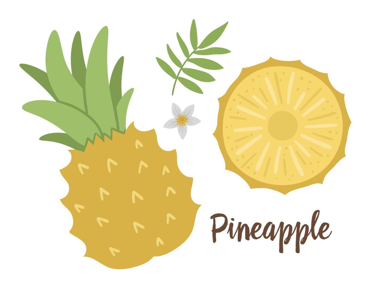 clipart vectoriel ananas. illustration de fruits de la jungle. plantes exotiques plates dessinées à la main isolées sur fond blanc. illustration de nourriture d'été tropicale saine et enfantine lumineuse.