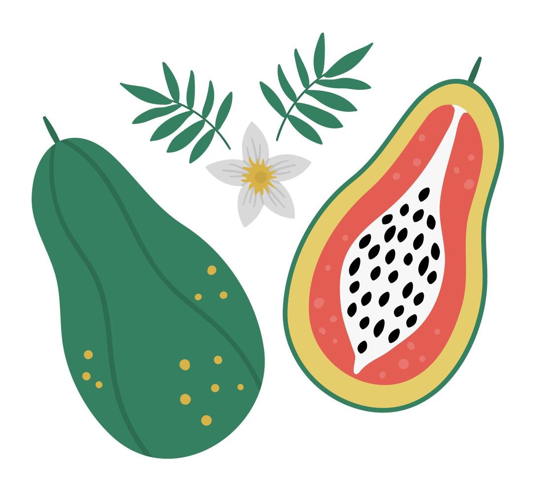 clipart de papaye de vecteur. illustration de fruits de la jungle. plantes exotiques plates dessinées à la main isolées sur fond blanc. illustration de nourriture d'été tropicale saine et enfantine lumineuse. vecteur