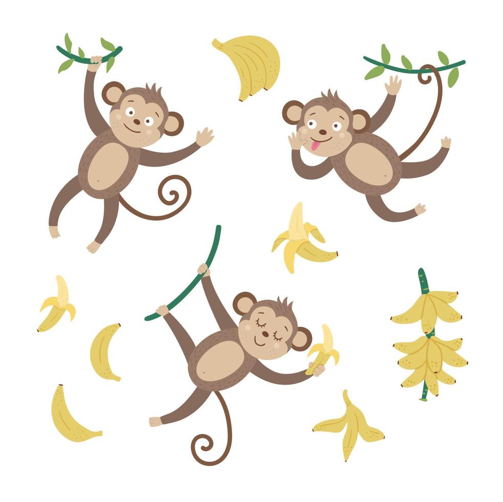 vecteur sertie de singes mignons avec des bananes isolés sur fond blanc. animaux tropicaux drôles et illustration de fruits. image plate lumineuse pour les enfants. clipart été jungle