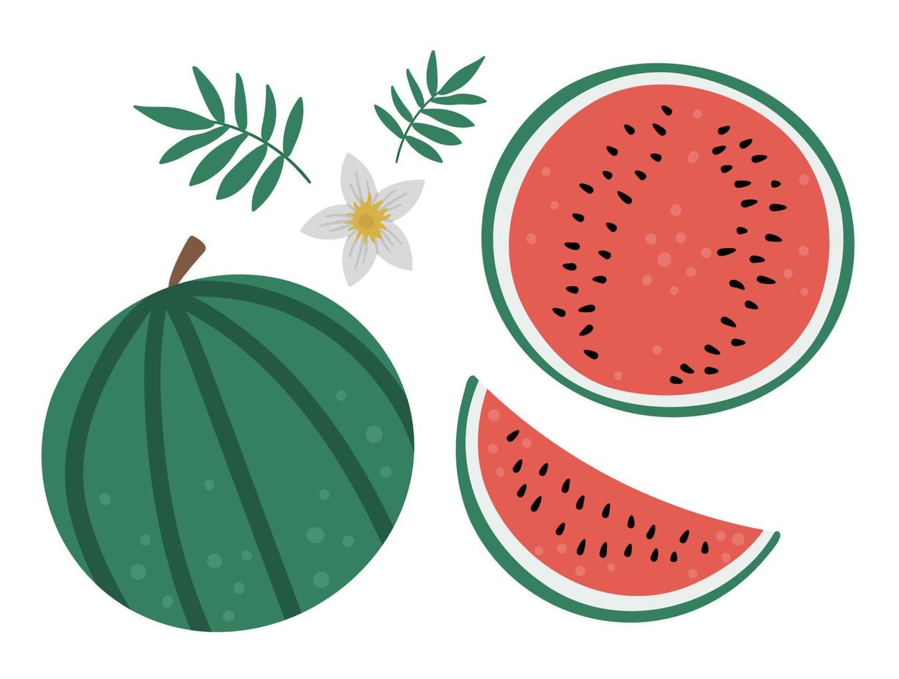 clipart vectoriel de pastèque. illustration de fruits de la jungle. plantes exotiques plates dessinées à la main isolées sur fond blanc. illustration de nourriture d'été tropicale saine et enfantine lumineuse.