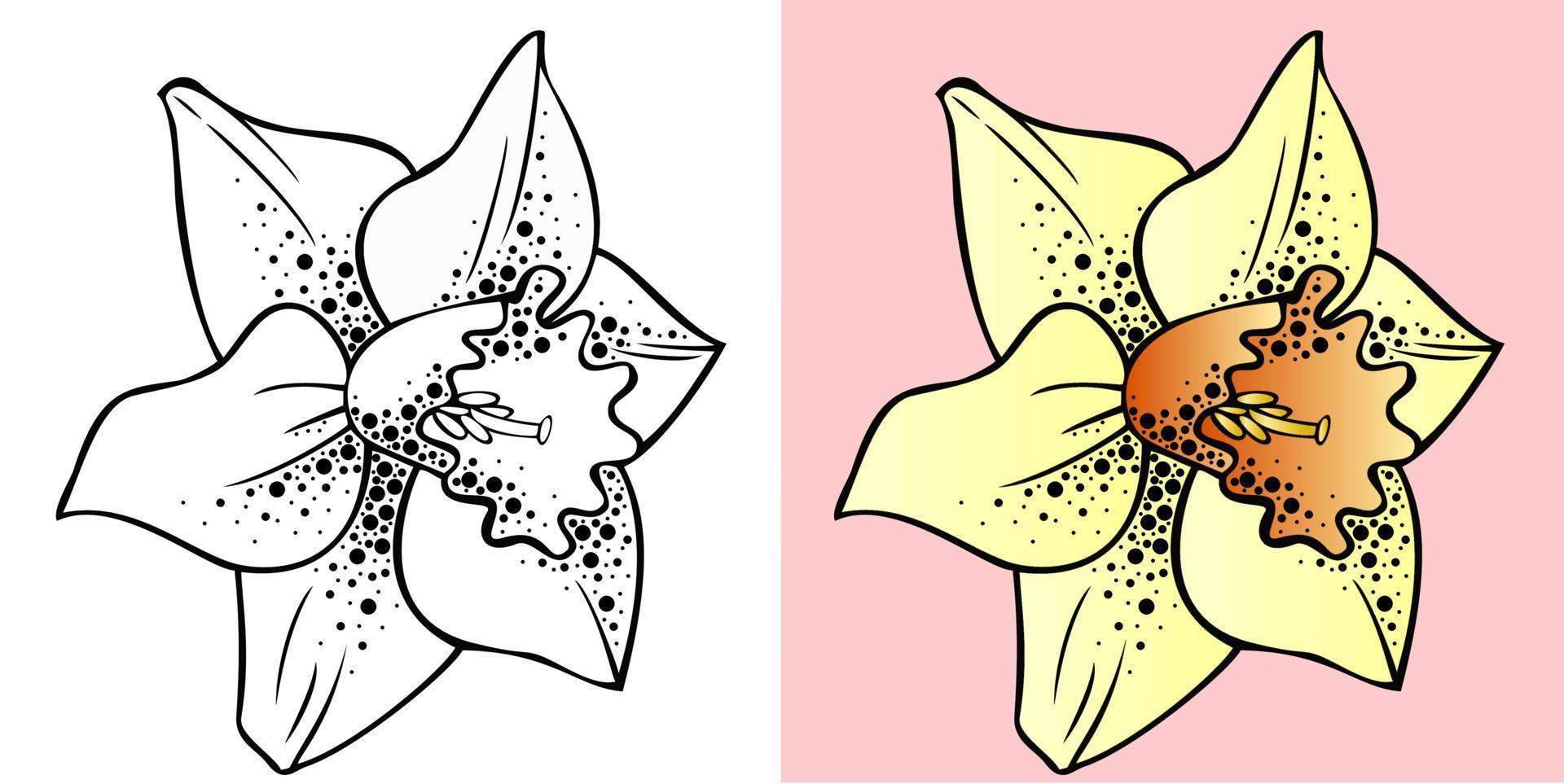 un ensemble de fleurs printanières, jaune jonquille et dessin de contour vecteur