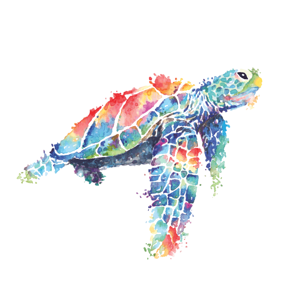 tortue de mer peinte à l'aquarelle vecteur