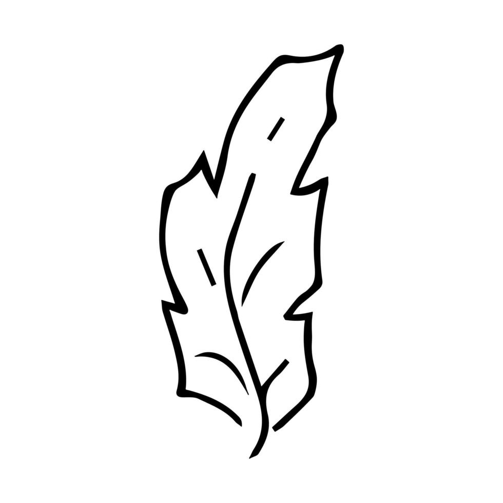 illustration de feuille simple isolée sur fond blanc. clipart vectoriel dessiné à la main. doodle botanique pour l'impression, le web, le design, la décoration, le logo.