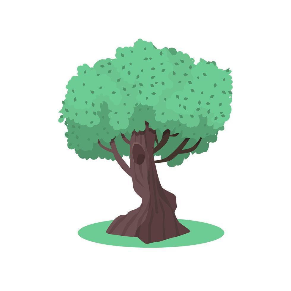 arbre vert d'été, éléments de jardin ou de forêt pour la conception. illustration vectorielle isolé sur fond blanc. vecteur