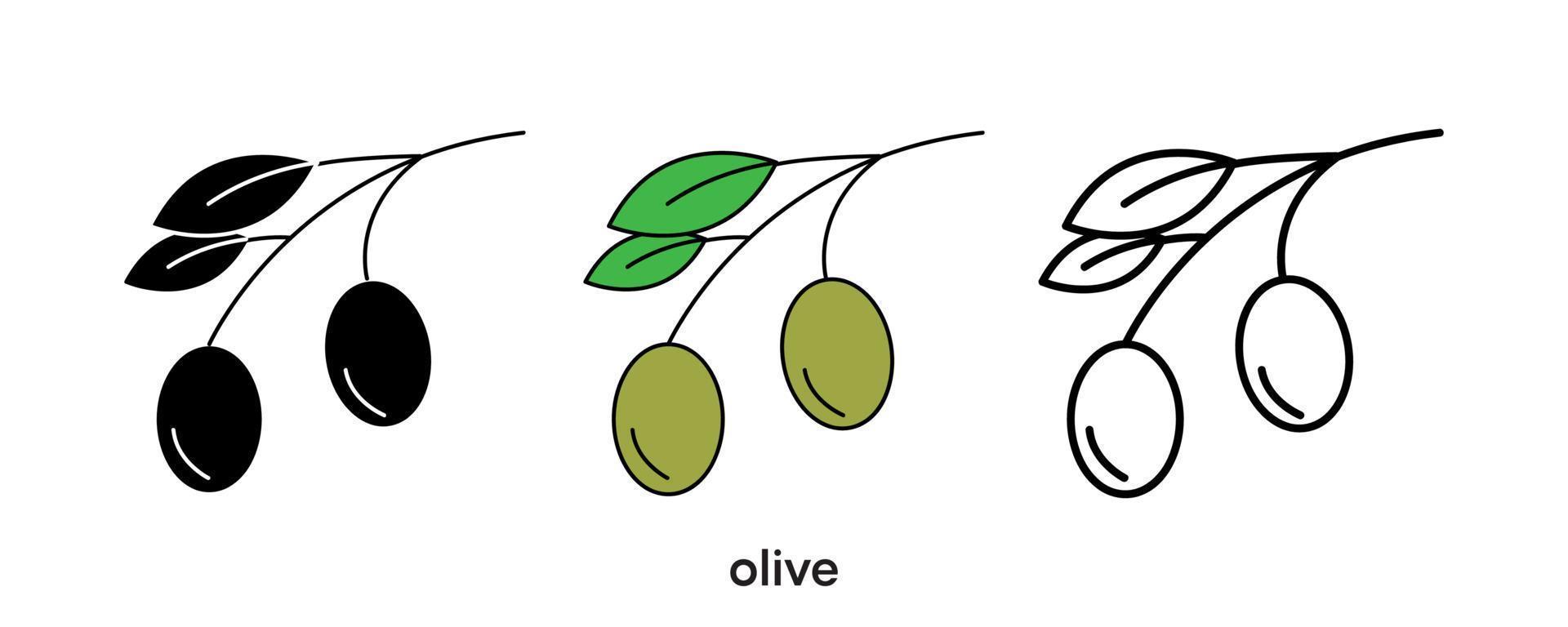 conception d'icône d'olive. icône d'olive en silhouette, colorée et linéaire. illustration vectorielle de ligne d'icône d'olive isolée sur un fond propre pour la conception du logo de votre application mobile Web. dessin au trait. vecteur