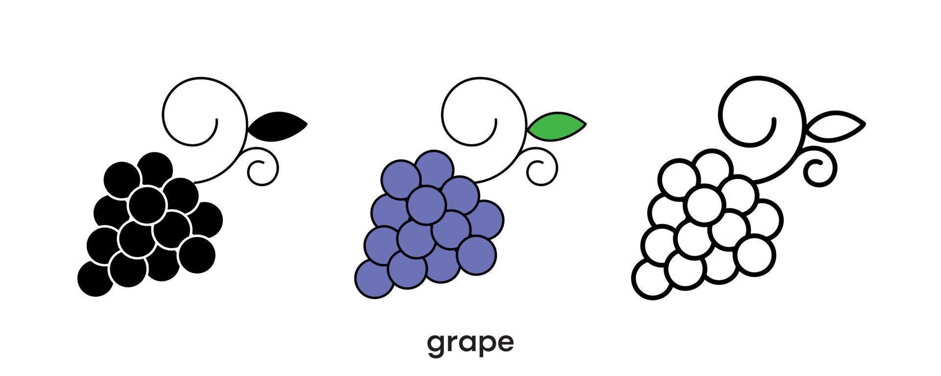 conception d'icône de raisin. icône de raisin en silhouette, colorée et linéaire. illustration vectorielle de ligne d'icône de raisin isolée sur un fond propre pour la conception du logo de votre application mobile Web. dessin au trait. vecteur