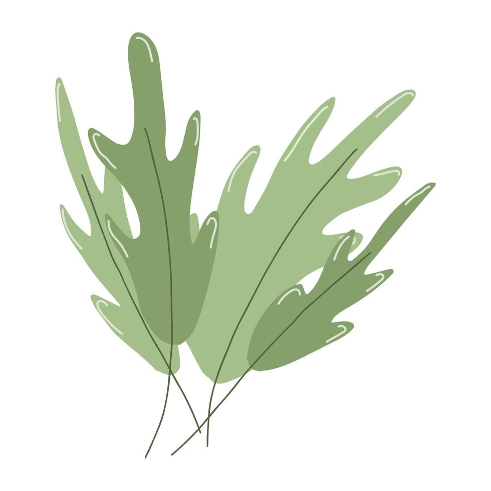 feuilles de roquette croustillantes vertes fraîches. aliments sains biologiques de la ferme locale. illustration de vecteur dessiné à la main isolé sur fond blanc