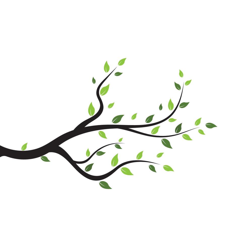 vecteur de logo de branche d'arbre