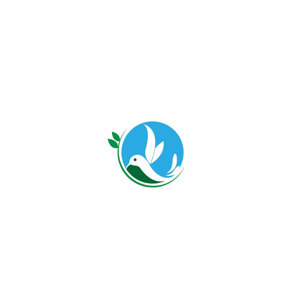 conception créative de l'icône du logo colibri vecteur