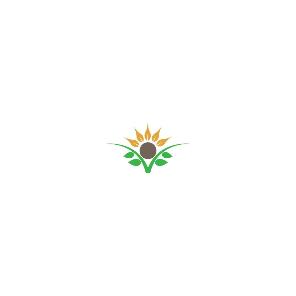 concept d'icône logo fleur de soleil vecteur