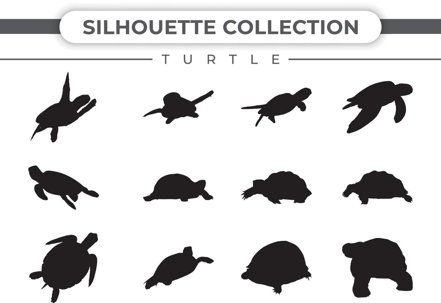 vecteur de silhouette de tortue sur fond blanc, différentes formes de tortue