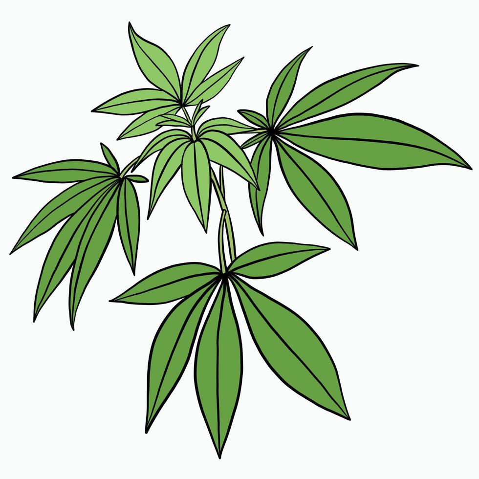 conception plate de dessin à main levée de plante de cannabis de simplicité. vecteur