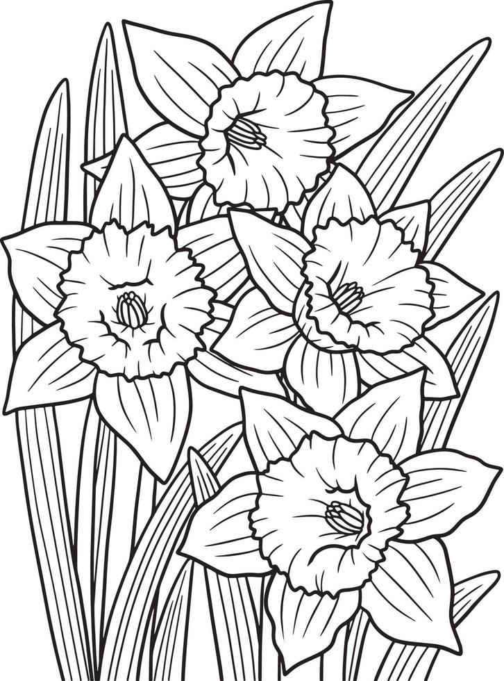 coloriage de fleur de jonquille pour adultes vecteur