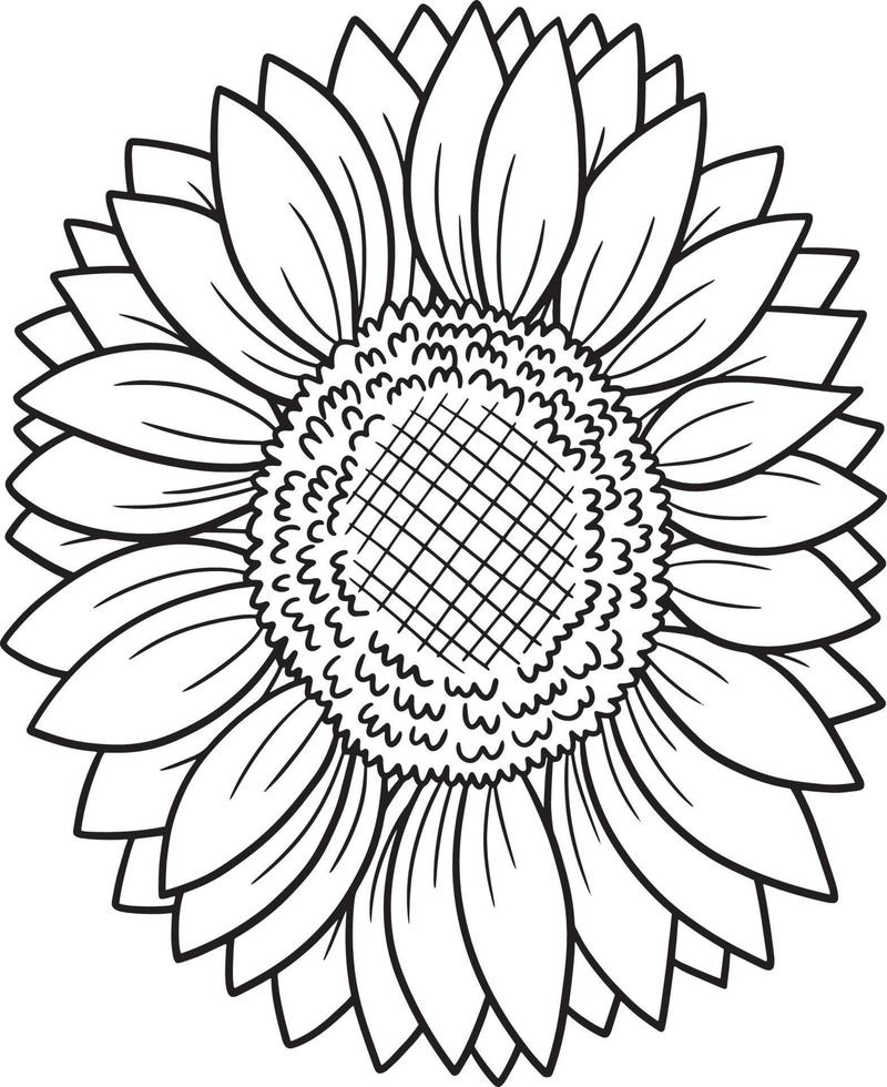 coloriage de tournesol pour adultes vecteur