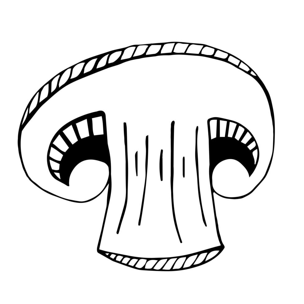 un demi-champignon de Paris. illustration vectorielle isolée sur fond blanc. doodle noir, croquis de champignon. vecteur
