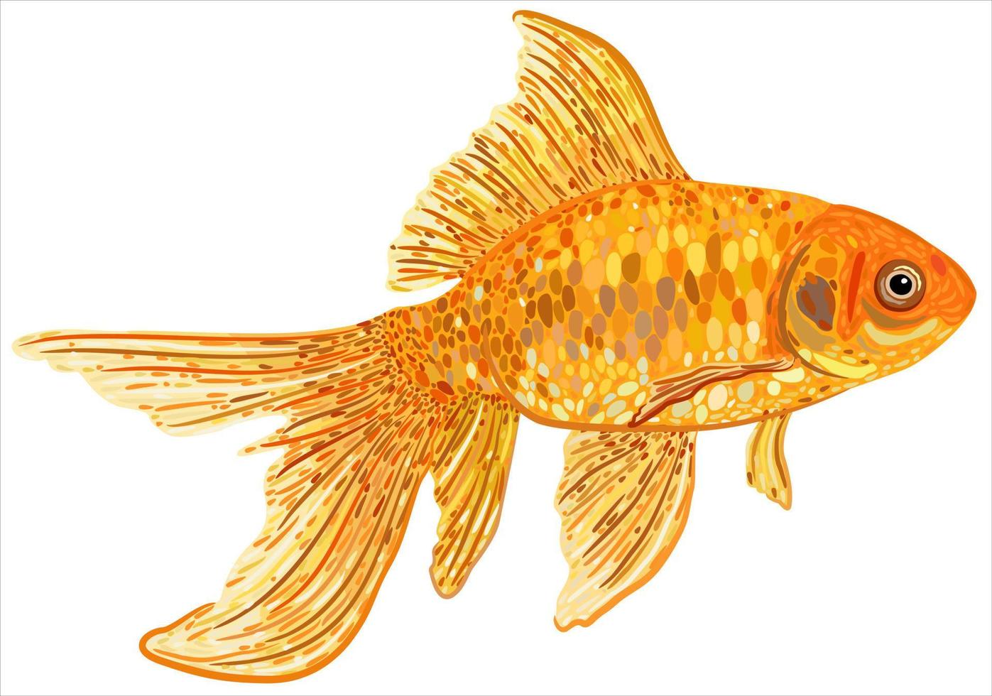 illustration vectorielle isolée de poisson rouge. vecteur