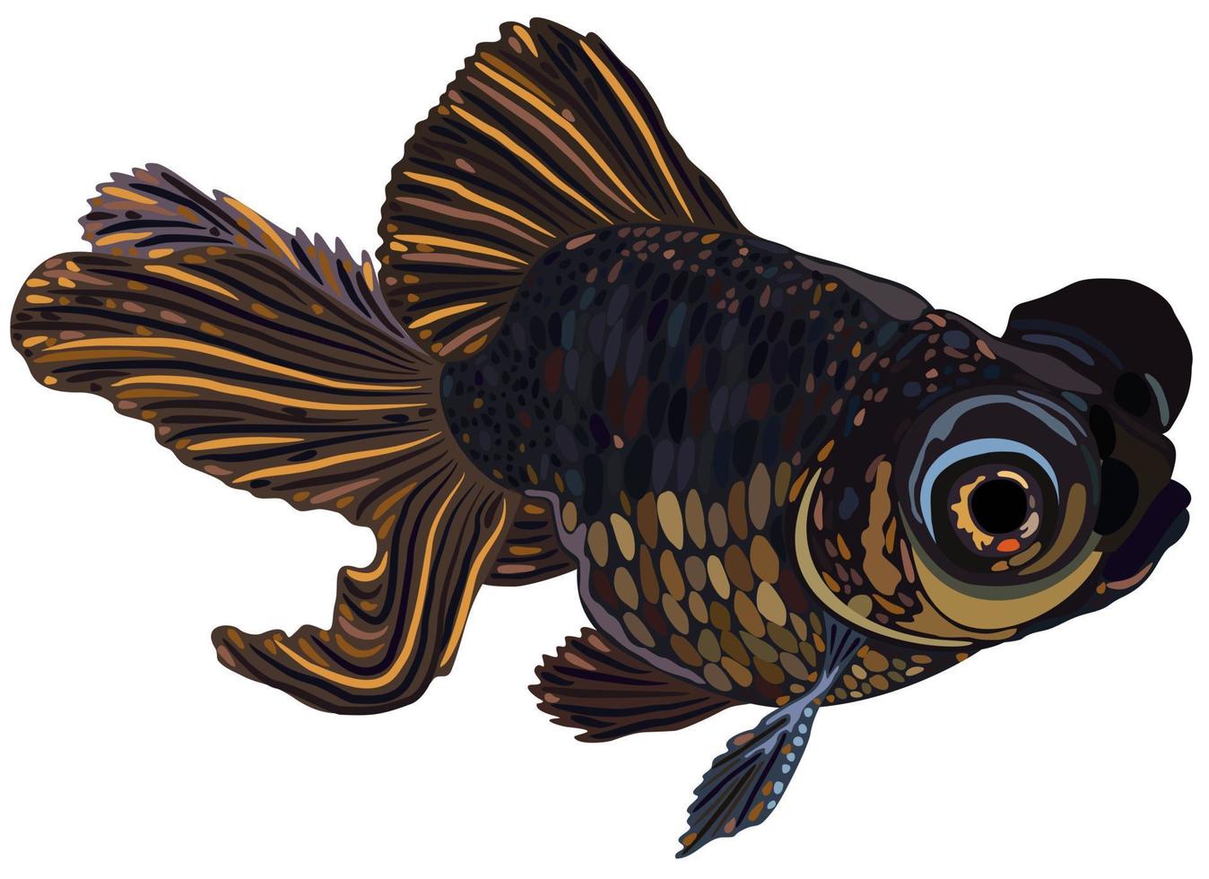 illustration vectorielle isolée de poisson télescope. vecteur