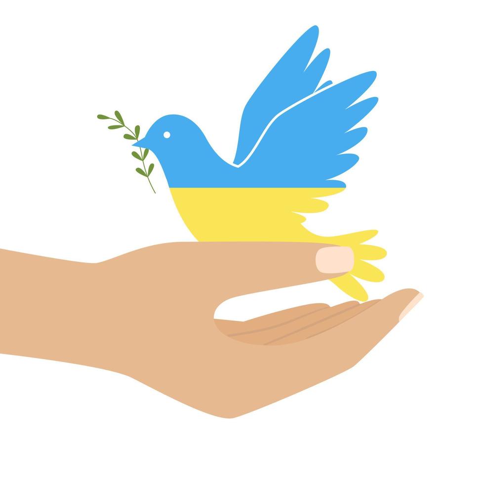 une main humaine tenant une colombe aux couleurs du drapeau ukrainien. symbole de paix. oiseau tenant une brindille dans le bec. arrêter la guerre. illustration couleur dans un style plat isolé sur fond blanc vecteur