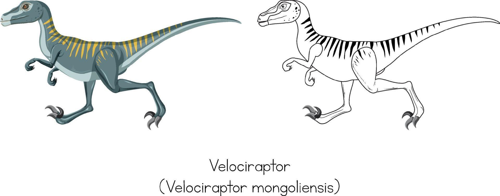 croquis de dinosaure de vélociraptor vecteur