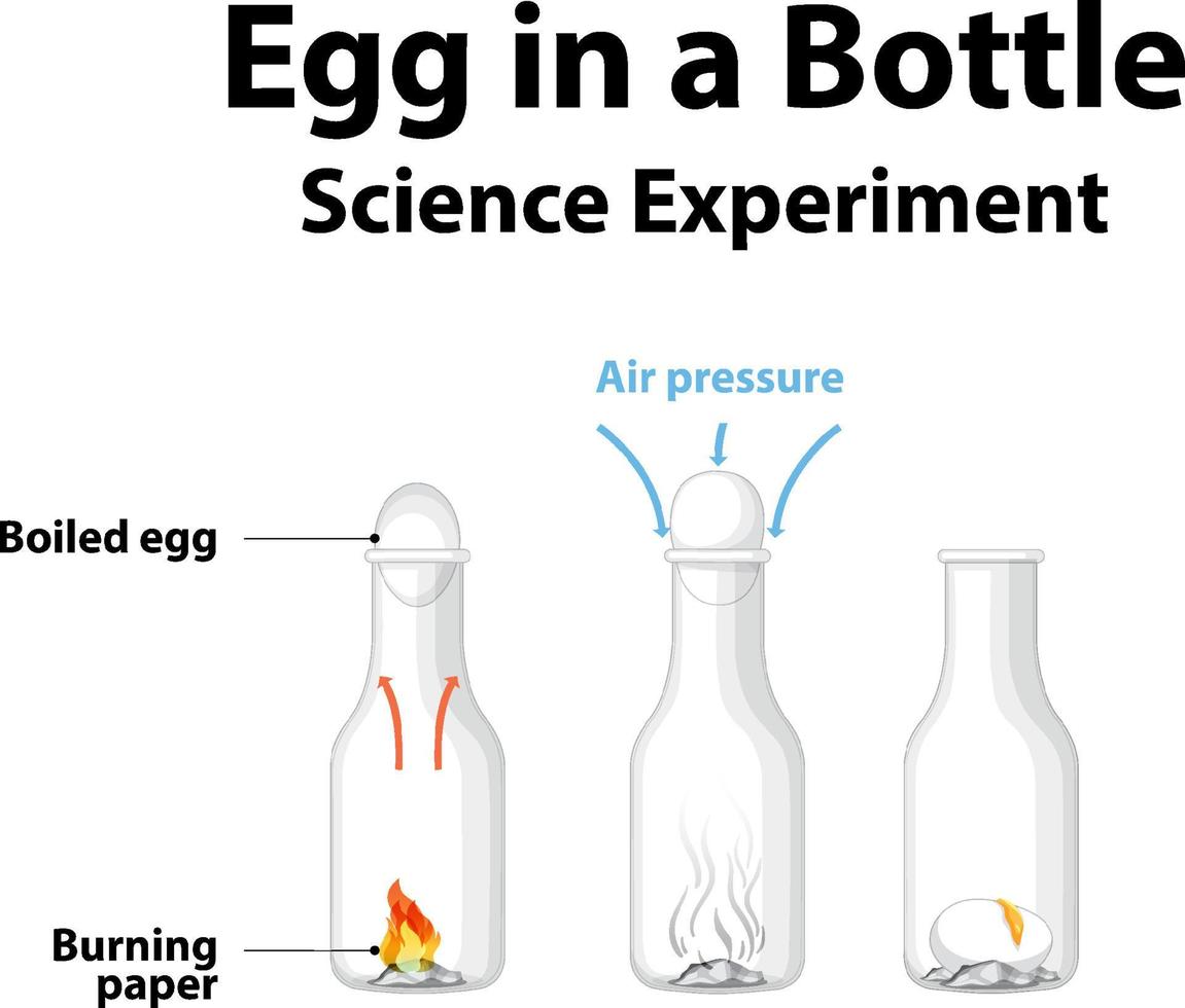 expérience scientifique à faire à la maison avec un oeuf en bouteille vecteur