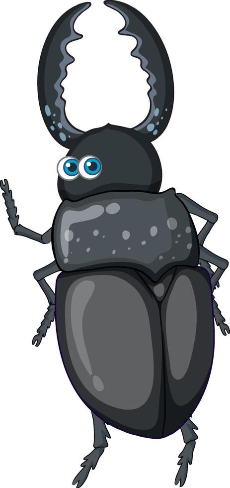 un personnage de dessin animé de coléoptère isolé vecteur