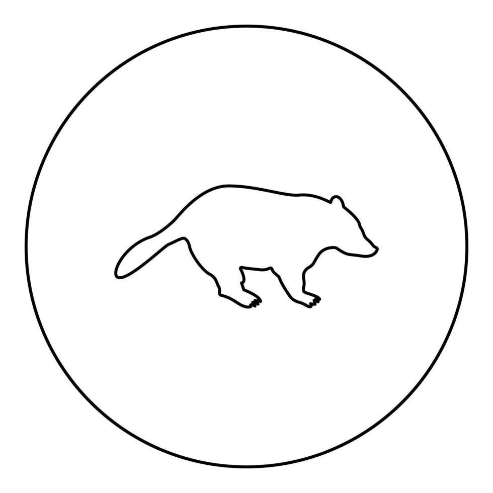 blaireau animal sauvage meles taxus prédateur mammifère famille kunihih carnivore silhouette en cercle rond noir couleur vecteur illustration contour contour style image