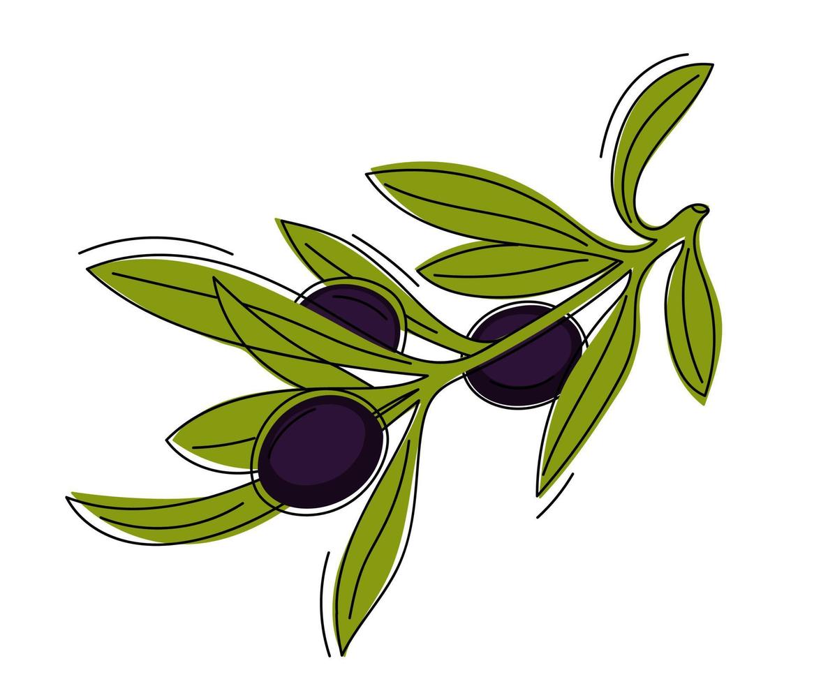 branche dessinée à la main avec des olives noires. vecteur