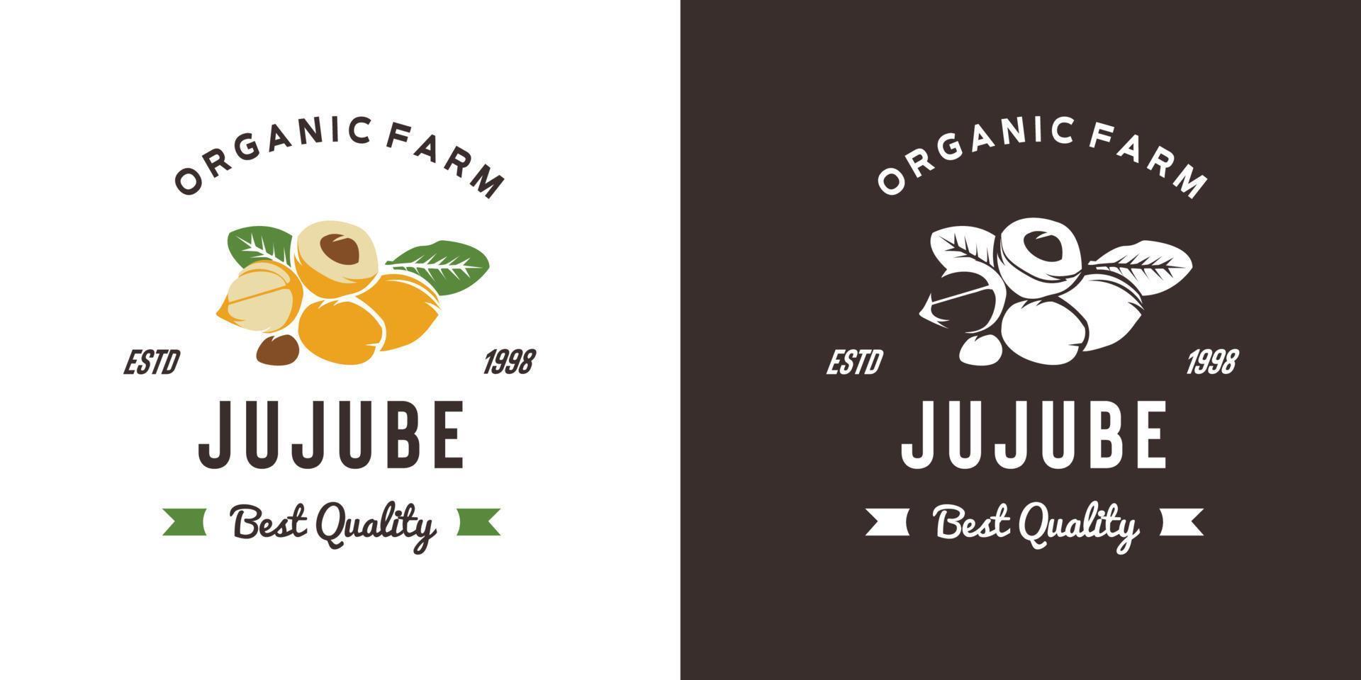 illustration de logo de fruit de jujube vintage adaptée à la fruiterie et à la ferme fruitière vecteur