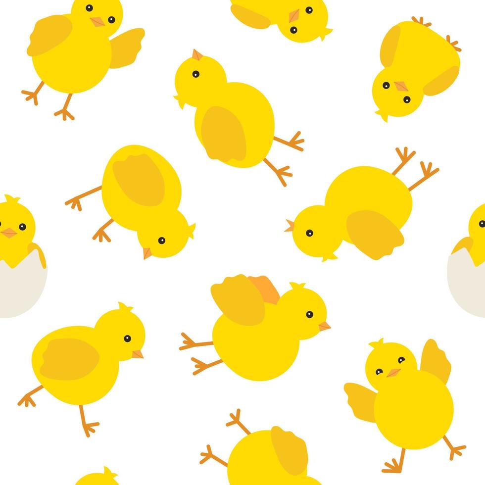 modèle mignon bébé poulet jaune pour la conception de pâques, fond transparent. petit poussin de dessin animé jaune. illustration vectorielle sur fond blanc vecteur