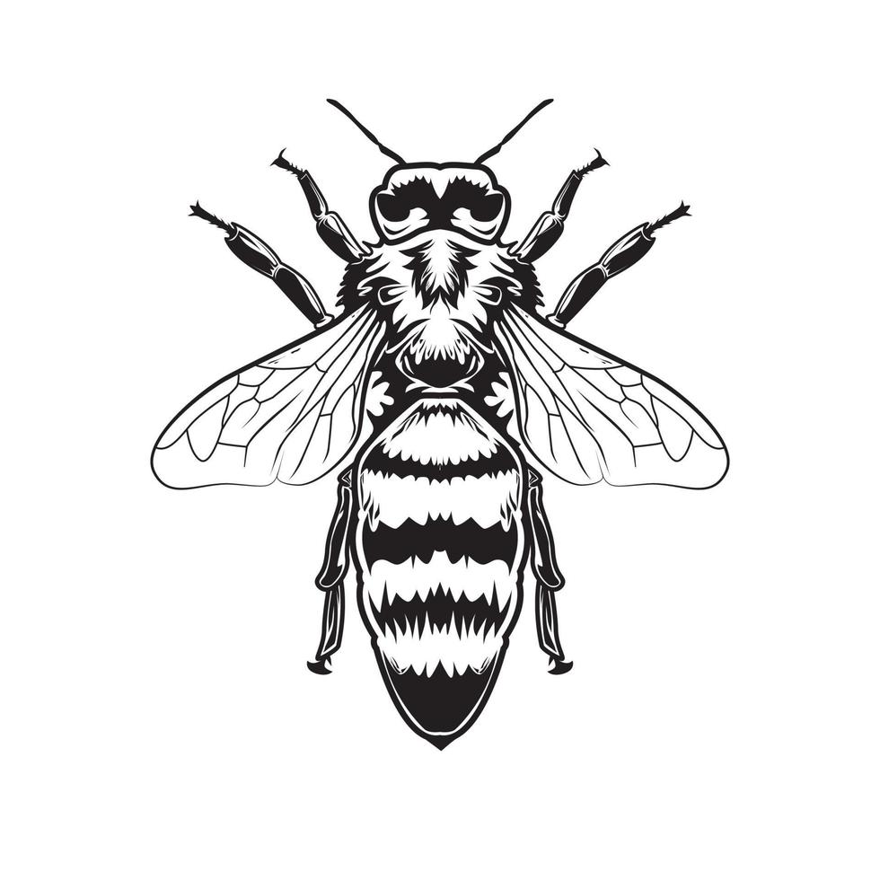 dessin au trait abeille vecteur
