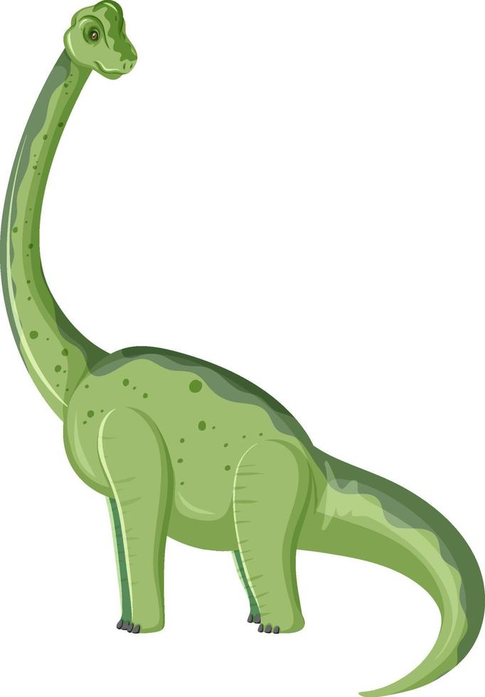 Un dinosaure brachiosaurus sur fond blanc vecteur