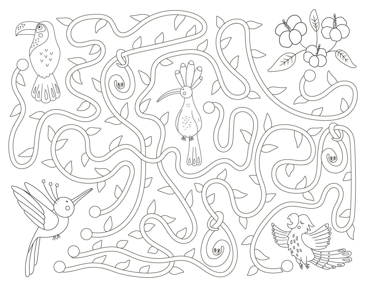 labyrinthe noir et blanc tropical pour les enfants. activité exotique préscolaire. casse-tête amusant dans la jungle avec un joli perroquet, une huppe et un toucan. aidez l'oiseau à se rendre au jeu des fleurs. coloriage amusant pour les enfants vecteur