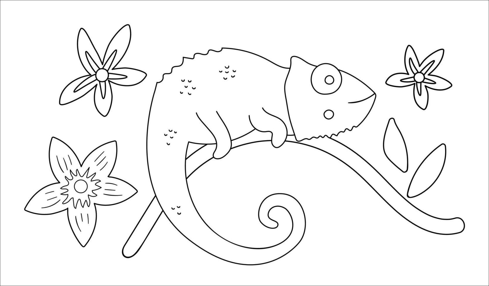 caméléon mignon de vecteur sur un contour de brunch d'arbre. illustration drôle d'animal exotique tropical en noir et blanc. coloriage amusant pour les enfants. clipart été jungle