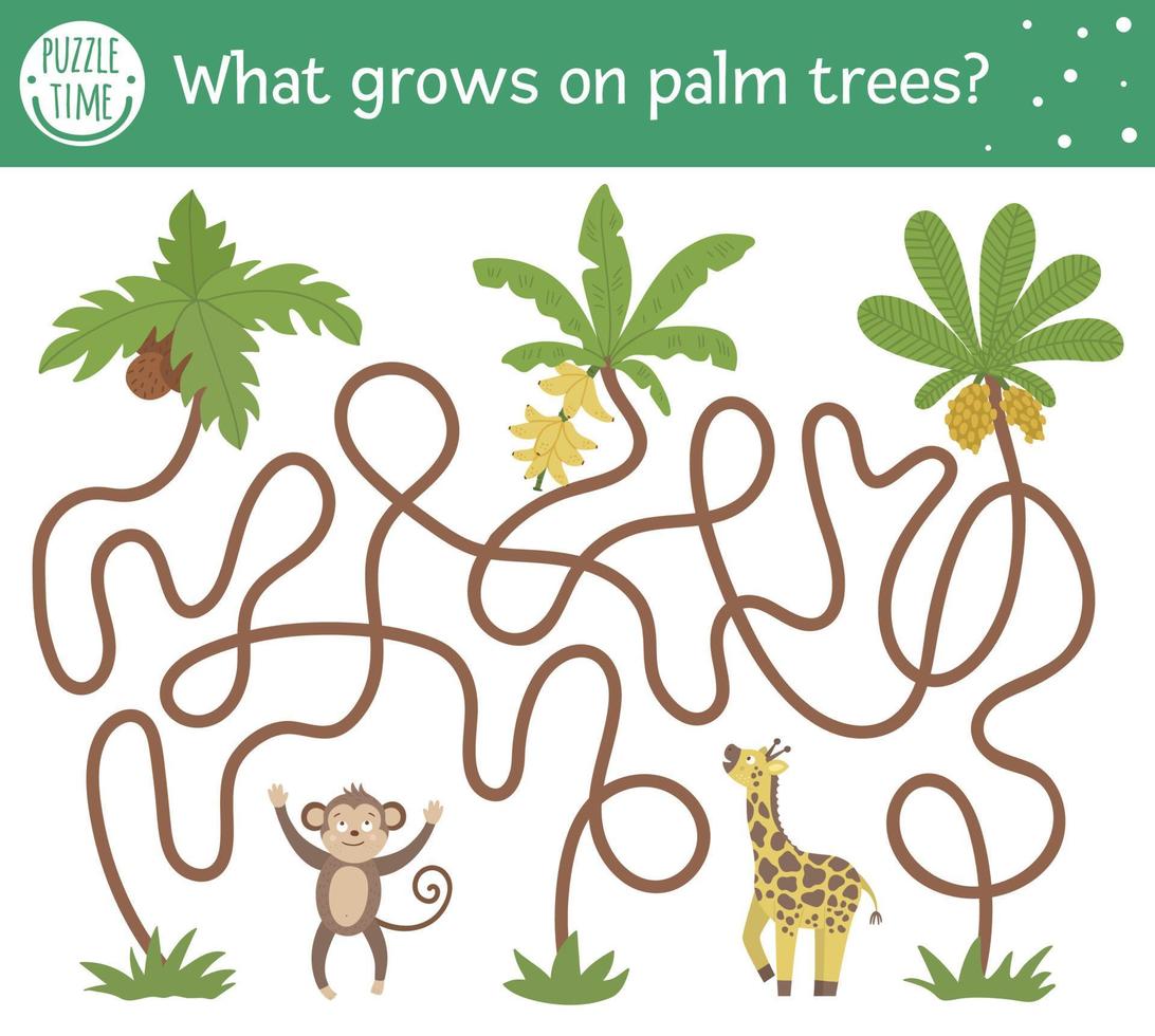 labyrinthe tropical pour les enfants. activité exotique préscolaire. puzzle de jungle amusant avec de jolis palmiers, un singe et une girafe. ce qui pousse sur les palmiers. jeu d'été simple pour les enfants vecteur