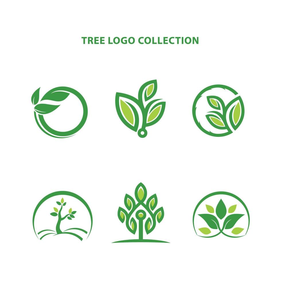 collection de logos d'arbres vecteur