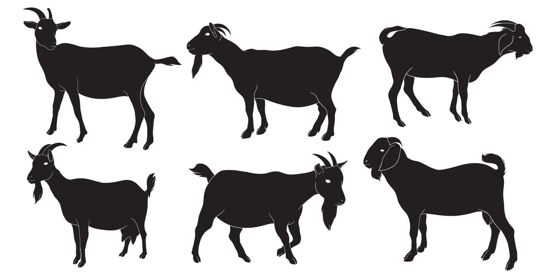 silhouette de chèvre dessinée à la main vecteur