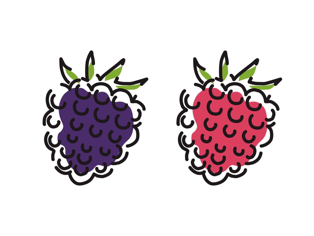 icônes de framboise et de mûre sur un fond blanc isolé. illustration vectorielle dessinée à la main. vecteur